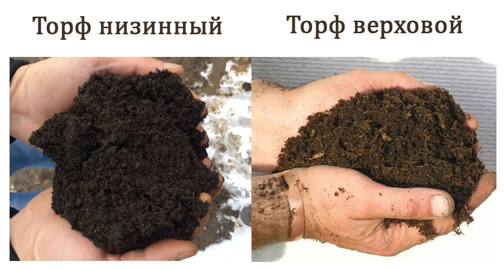 Какой торф выбрать